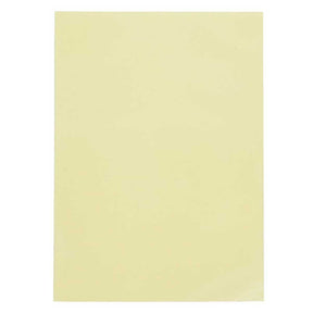 Dragon Shield Standard 100ct Matte Ivory Sleeves 63x88mm